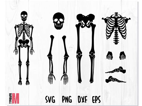 Download 419+ Skeleton SVG Cut File Crafts
